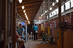horse, barn, state fair