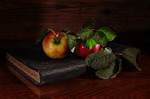 apples, notebook, autumn