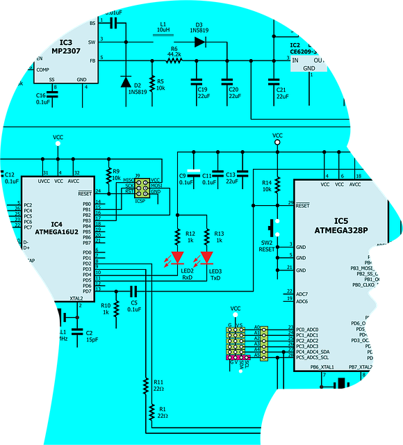 Free circuitry code programming vector