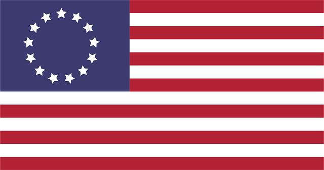 Free america usa united states vector