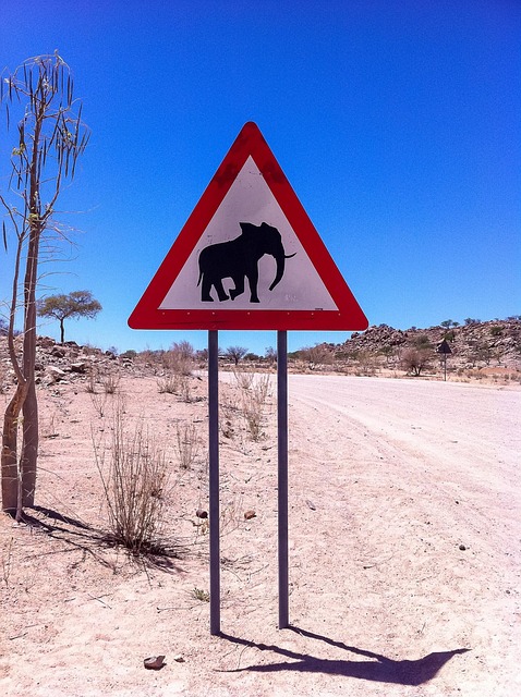 Download free HD stock image of Elephant Sign Free Elephant Sign photo and picture