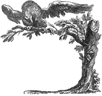line art, graphic, eagle