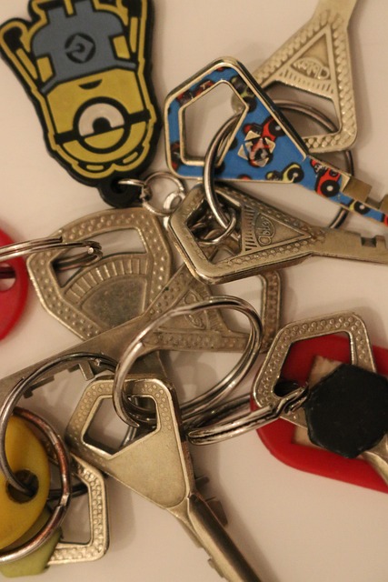 Free Keys Migration photo and picture