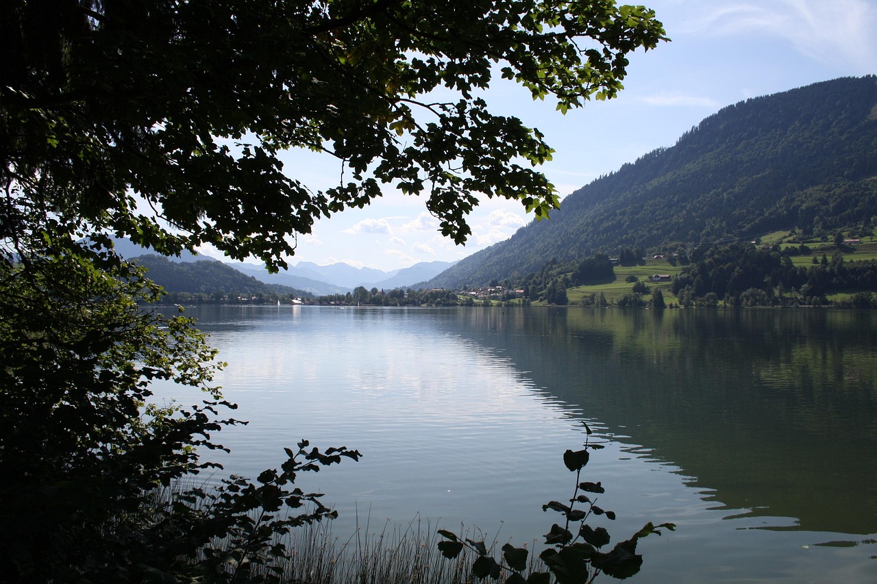 Alpsee Lago Naturaleza - Foto gratis en Pixabay - Pixabay