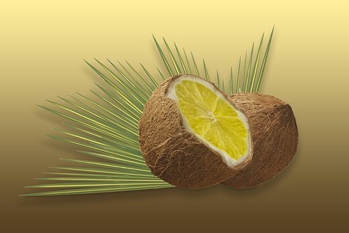 Nød, Kokosnød, Citron, Surrealistisk