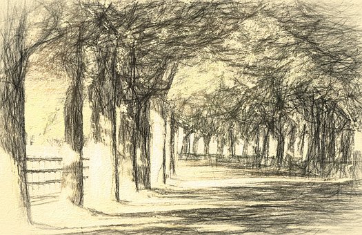 Free Landscape Avenue photo and picture