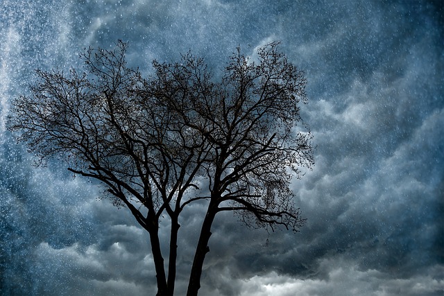 Strom, Dážď, Prírody