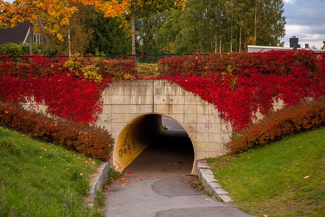 Free Autumn Fall photo and picture