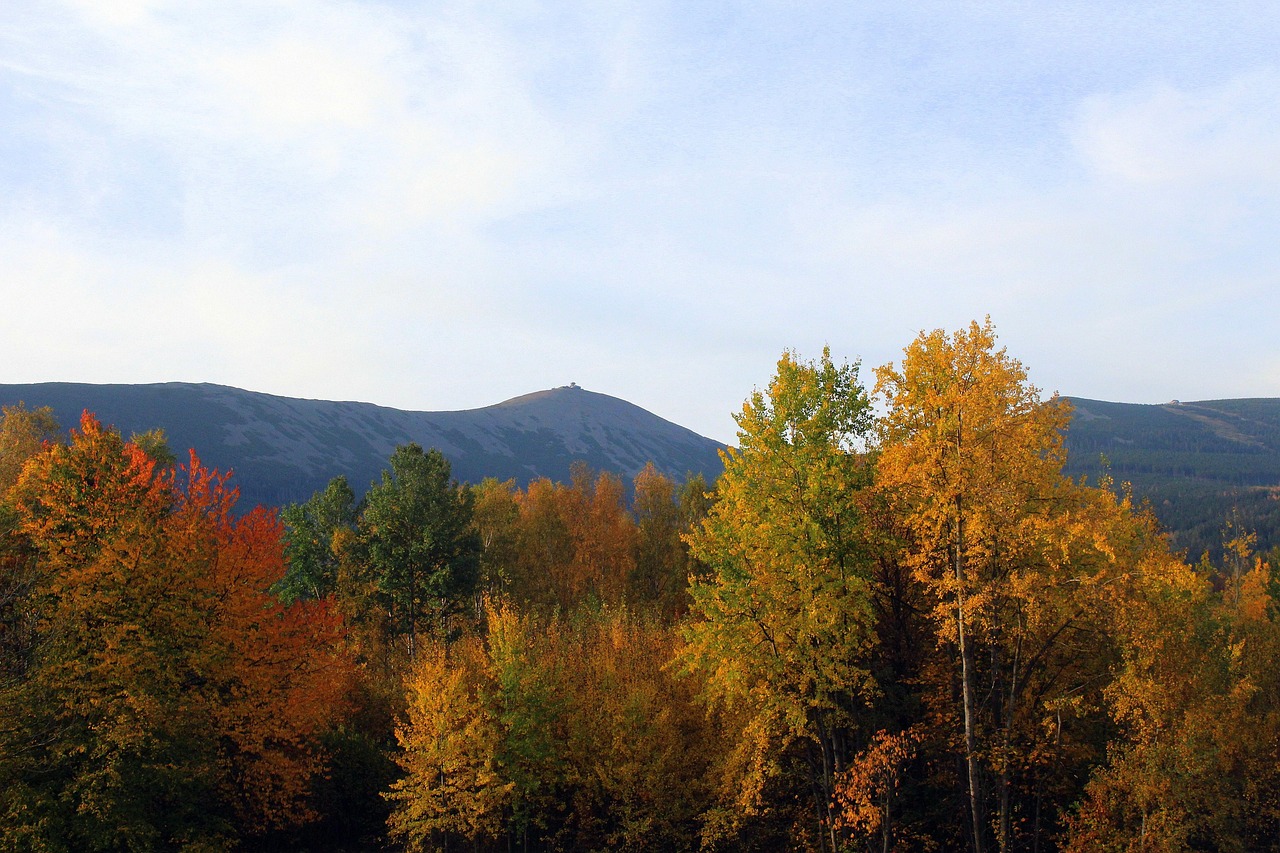 Autumn Landscape - free online jigsaw puzzle photo