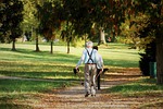sport, nordic walking, park