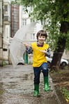 umbrella, puddle, kid