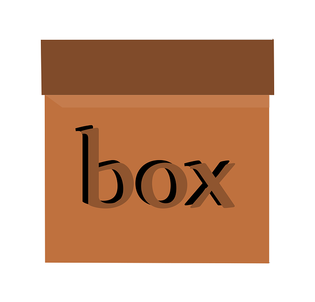 Free box carry gift vector