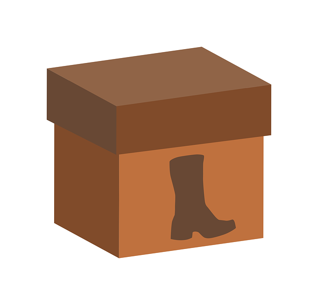 Free box boot shoe vector