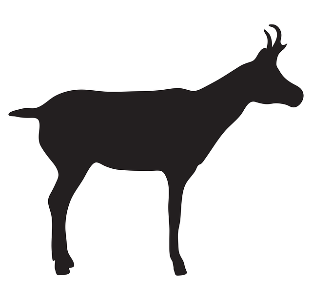 Free pronghorn animal wild illustration