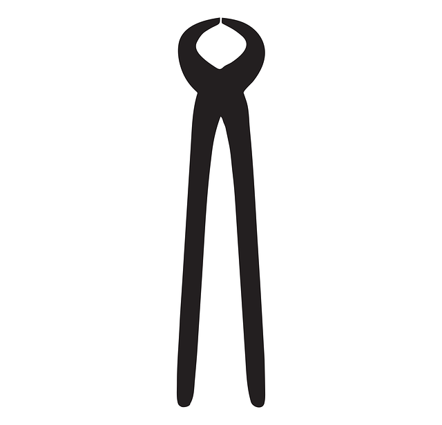 Free tool pliers equipment vector