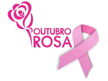 Free October Rose photo and picture
