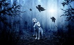 wolf, forest, autumn