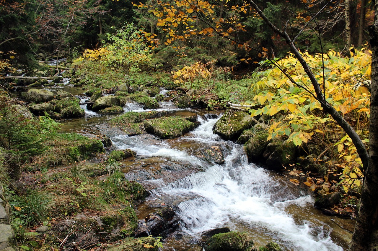 Stream Mountains Landscape - Free photo on Pixabay