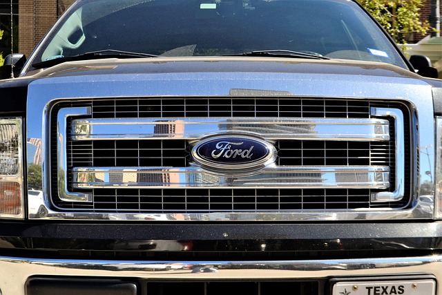 Free Grill Windshield photo and picture