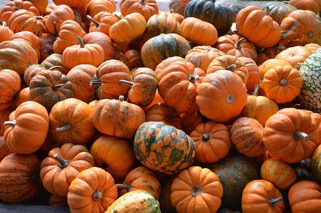Kürbis, Orange, Herbst, Dekoration