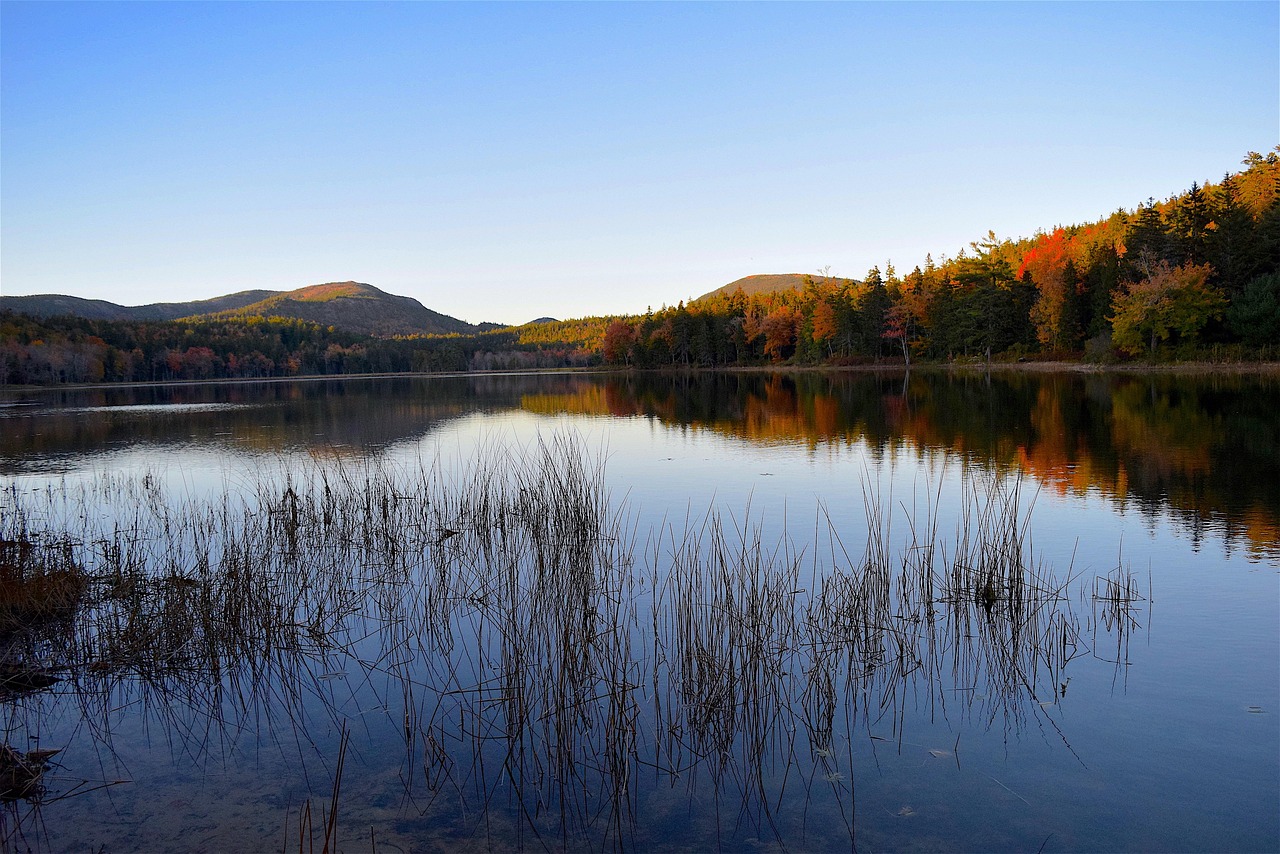 Lake - free online jigsaw puzzle photo