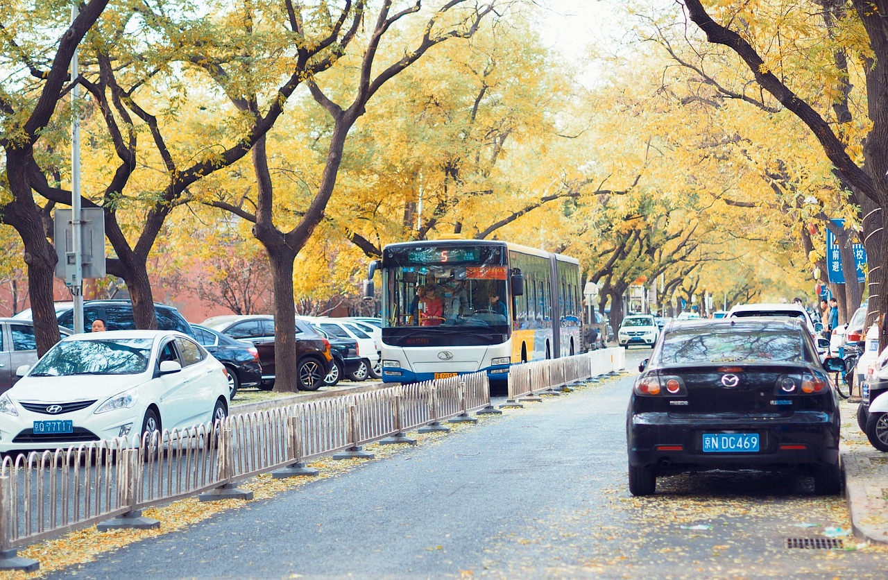 北京路游戲攻略，帶你領(lǐng)略城市中的繁華與魅力