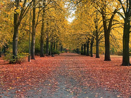 Free Autumn Park photo and picture
