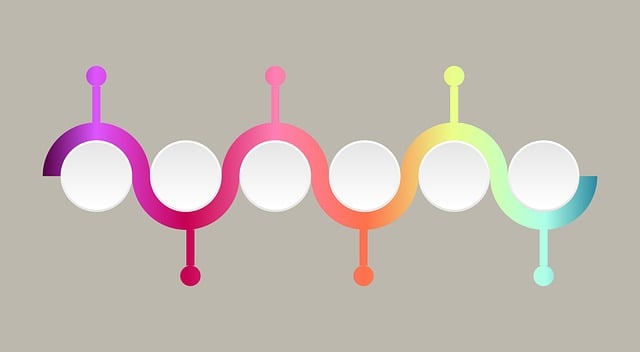 Free infographic process presentation vector