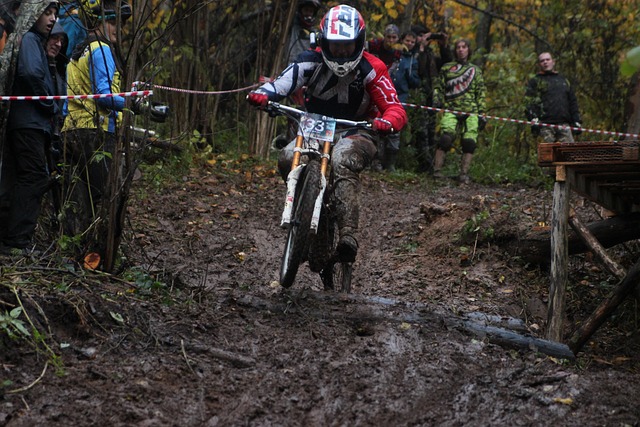 Sport, Fiets, Berg, Mountain Bike