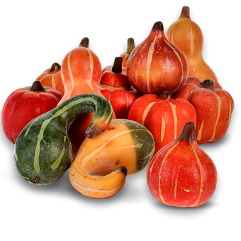 Kürbis, Herbst, Ernte, Das Erntedankfest