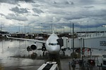 airport, terminal, trip