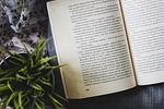 book, read, reading