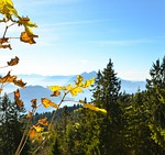 autumn, leaves, pilatus
