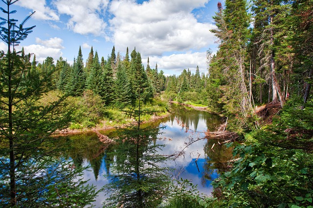 Free Algonquin Park Lake photo and picture
