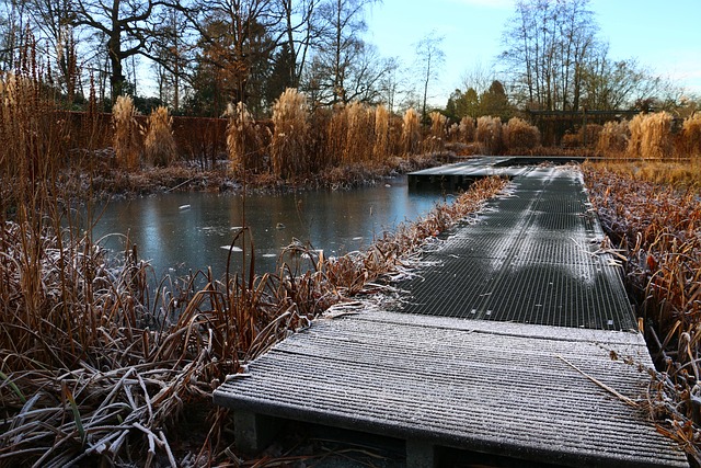 Dam, Vinter, Is