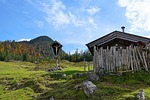 alm, austria, wilder