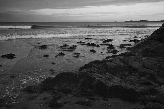 Free Sea Beach photo and picture