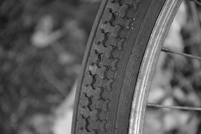 Free Bicycle Tire photo and picture