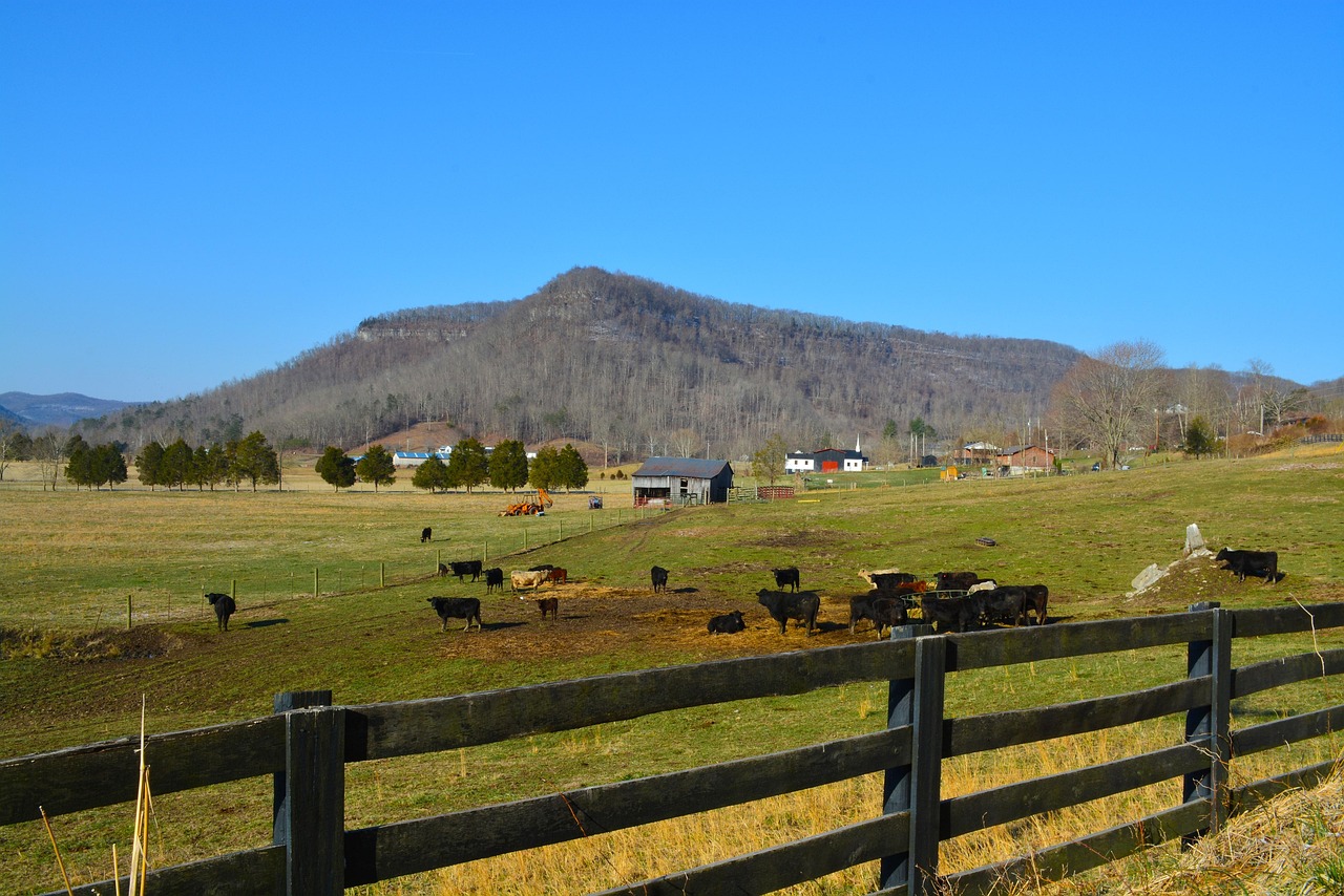 Kentucky Farm Free photo on Pixabay Pixabay