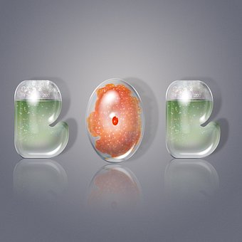 Mad, Glas Breve, Illustrator