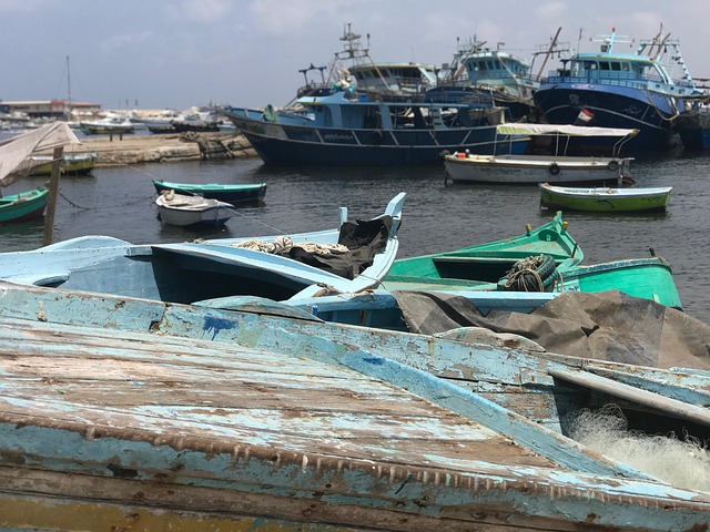 Free Boat Alexandria photo and picture