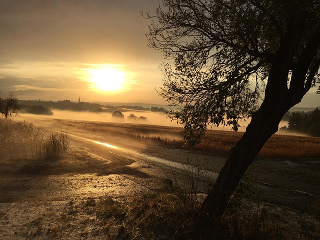 Free Sunset Fog photo and picture