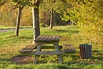 bank, resting place, forest