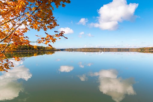 Free Autumn Leaves Tree photo and picture