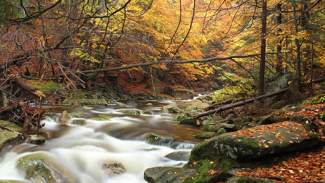 Free Mumlava River photo and picture