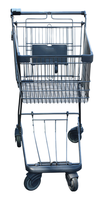 Free Shopping Venture Shopping illustration and picture