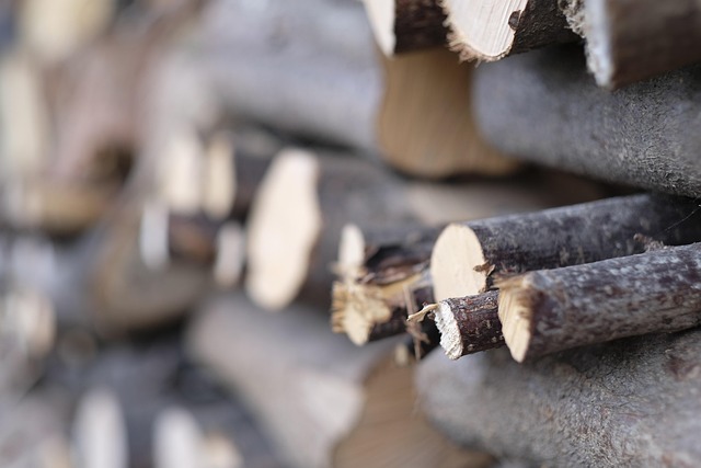Free Wood Depth Of Sharpness photo and picture