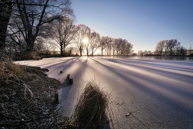 winter, lake, cold, nature, wintry, frozen over, snow, icy, winter landscape, sunrise, wintertime