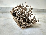 nature sculp, termite made, mobile click