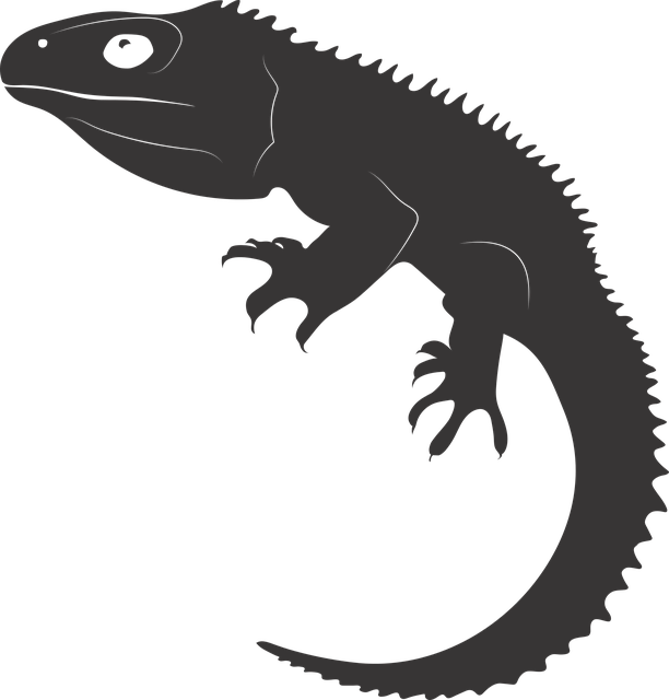 Free tuatara reptile ancient reptile vector